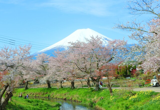 富士山