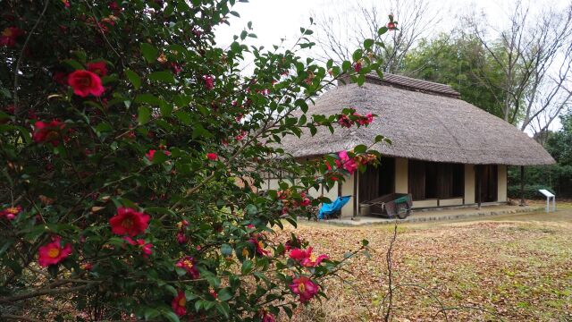 新春の府中市郷土の森博物館