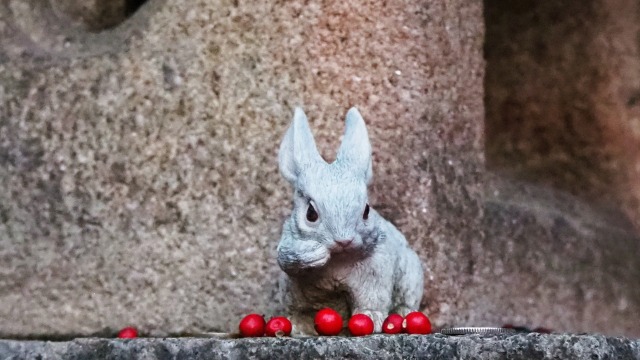 新春の名古屋