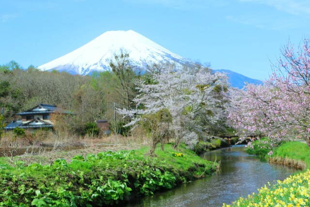 富士山