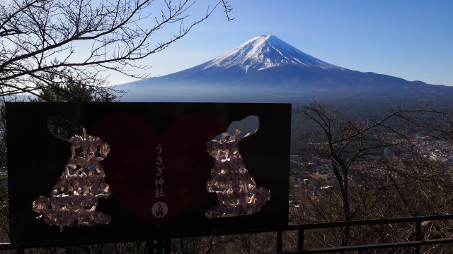 新春の天上山