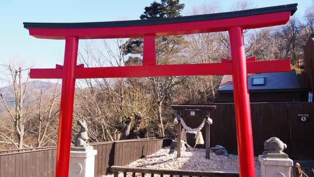 新春の河口湖天上山公園