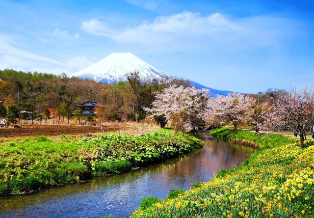 富士山