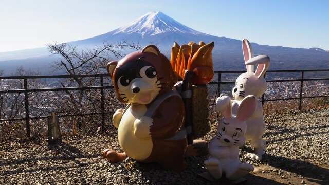 新春の河口湖天上山公園