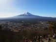 新春の河口湖天上山公園