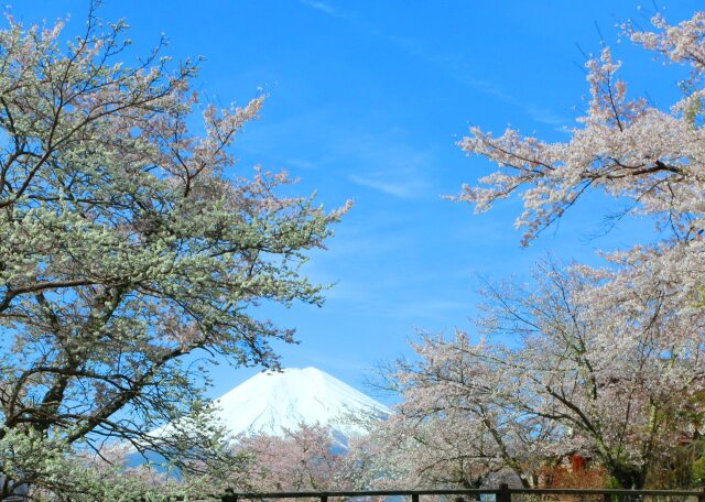 富士山