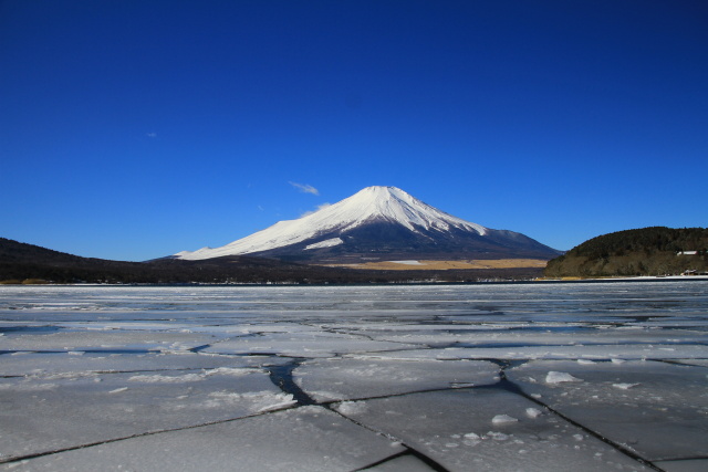 山中湖全面氷結