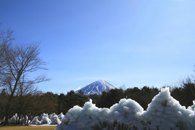 樹氷まつり