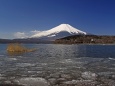 山中湖の富士