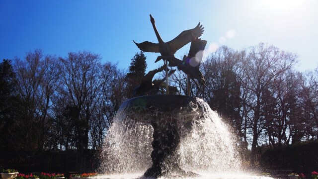 新春の船橋アンデルセン公園