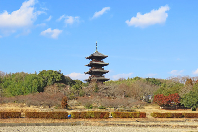 備中国分寺 五重塔 冬