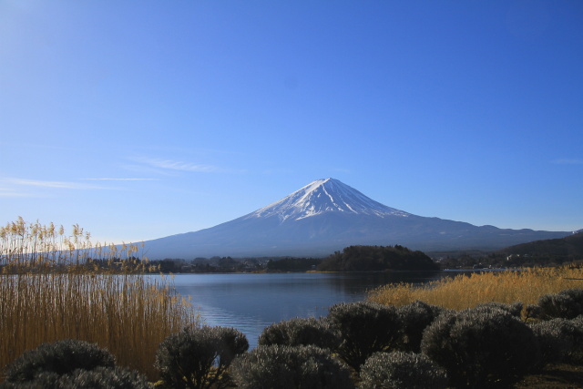 冬の富士山