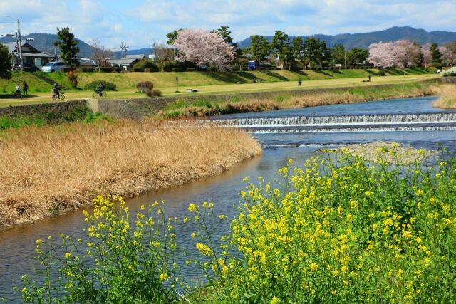 鴨川