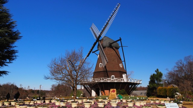 新春の船橋アンデルセン公園