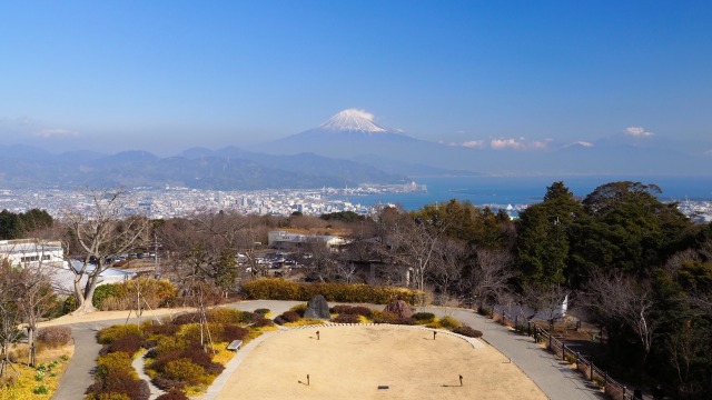 仲春の日本平から望む富士山