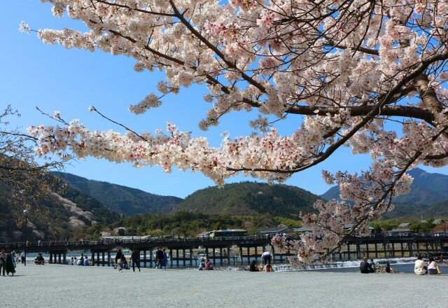 渡月橋