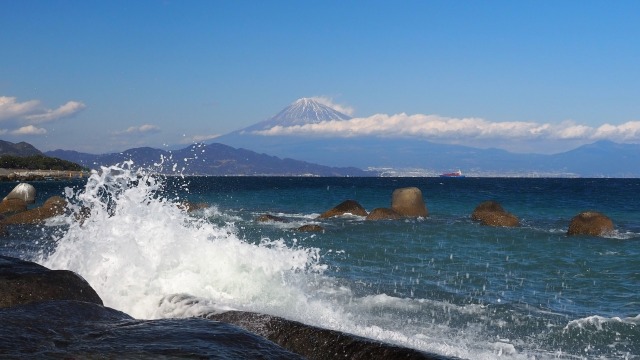 仲春の三保松原から望む富士山