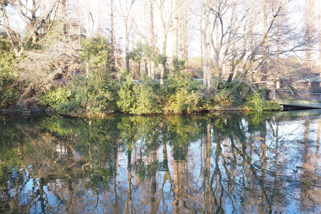 井の頭公園