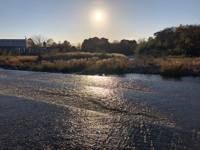 川辺にて