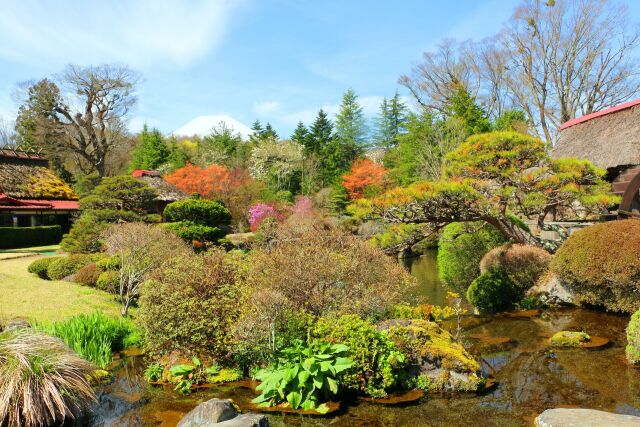 忍野八海