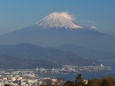 仲春の日本平から望む富士山