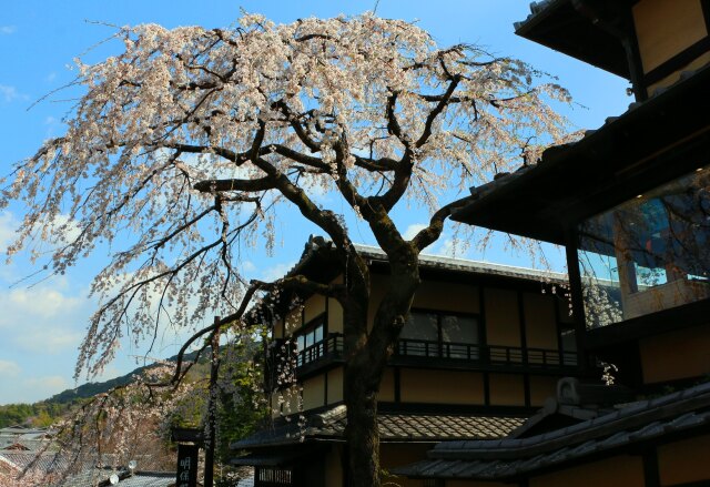 京都