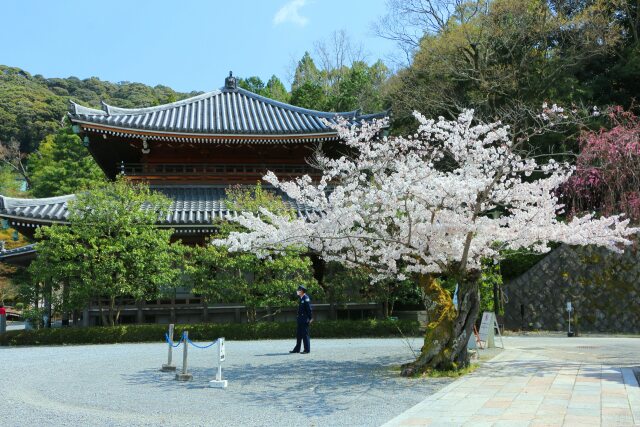 知恩院