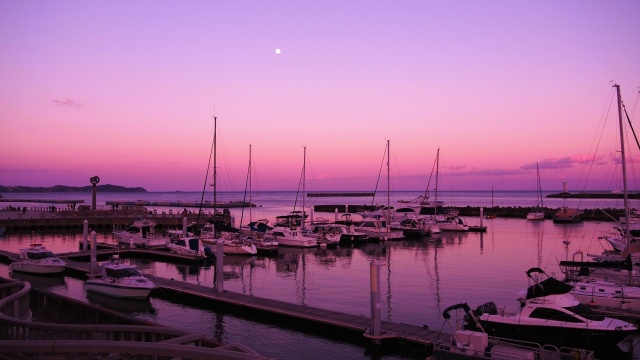 熱海梅園の夕景