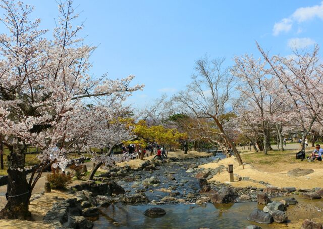 円山公園