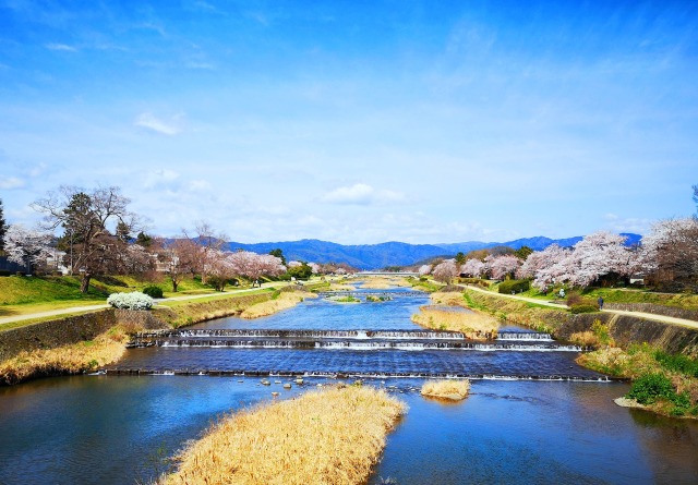 鴨川