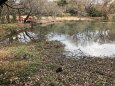 森林公園にて