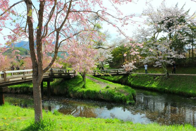 忍野八海