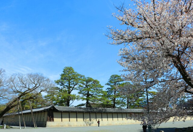 京都御所