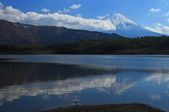 西湖の富士山