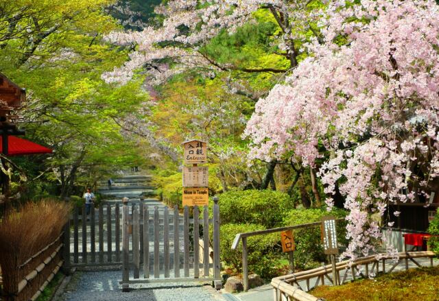 常寂光寺