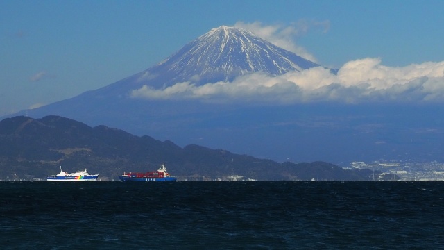 仲春の三保松原から望む富士山