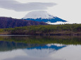 西湖から望む富士山