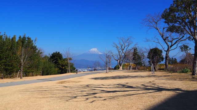 仲春の日本平から望む富士山