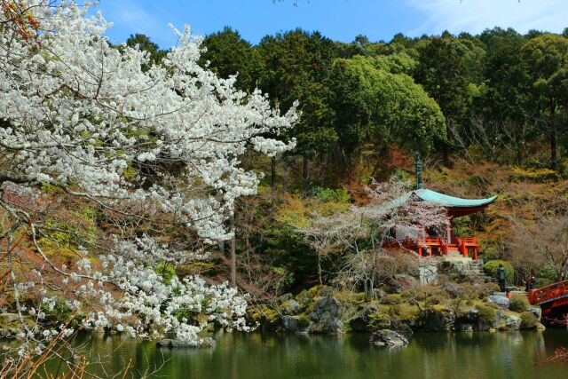 醍醐寺