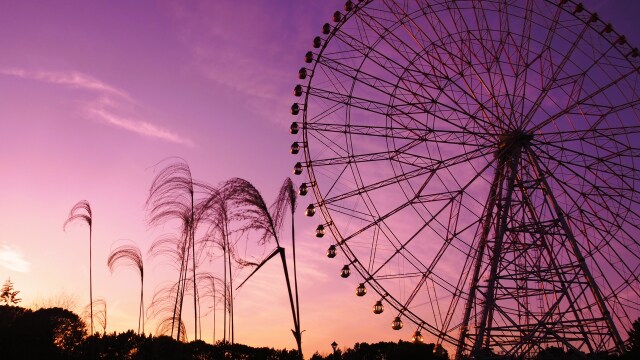 葛西臨海公園の夕景