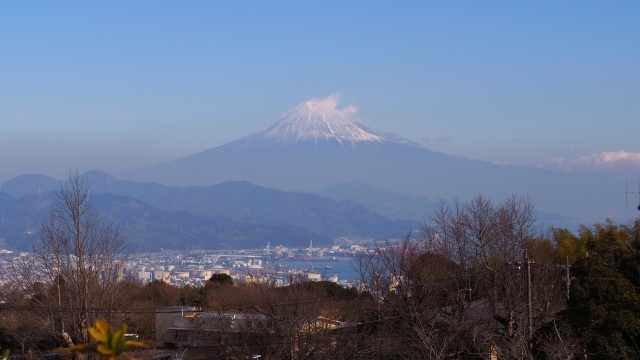 仲春の日本平から望む富士山