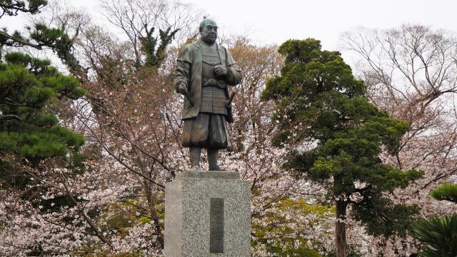 春の岡崎公園