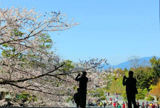 知恩院