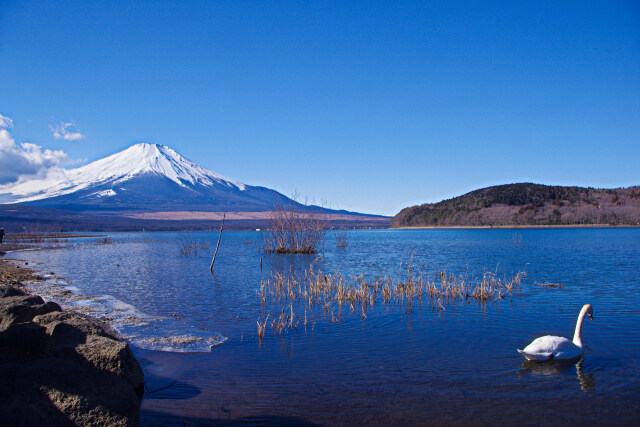 厳冬の山中湖