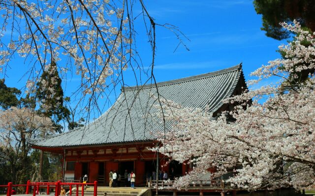 醍醐寺