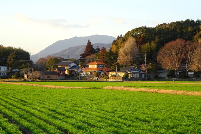 早春 里の夕暮れ