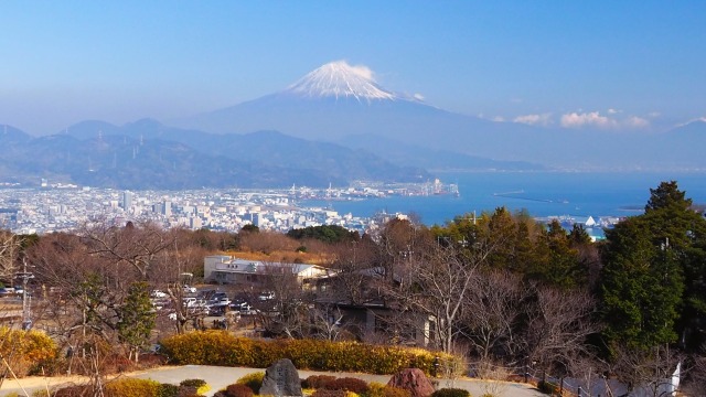 仲春の日本平から望む富士山