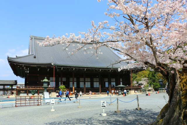 知恩院