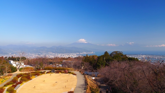 仲春の日本平から望む富士山