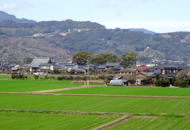 早春の里景色